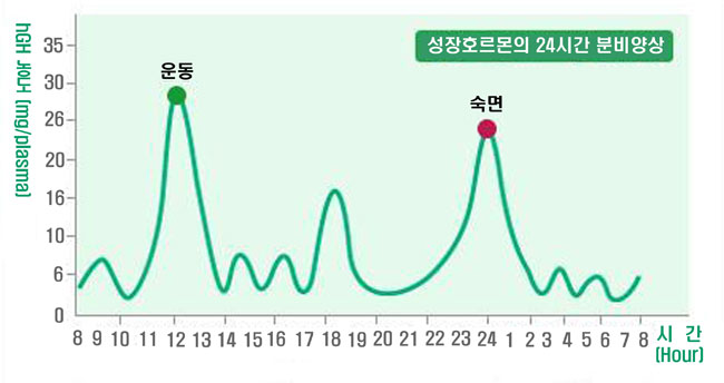 수면과 성장호르몬의 관계