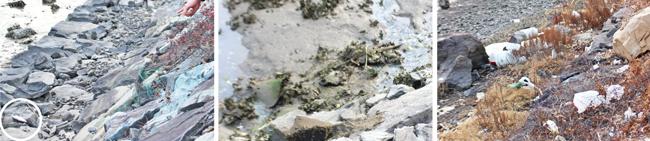 하천변에 숭어가 죽어 있다(사진 왼쪽). 오염된 하수 유입 장면(사진 가운데)과 쓰레기가 뒤범벅 된 하천변.