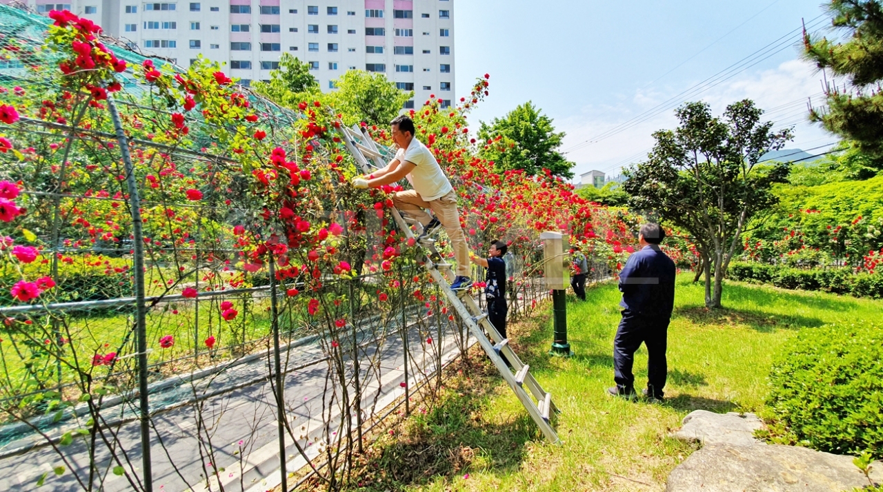 고현동주민자치위원회는 지난 16일 중곡 장미공원 일대에서 환경정비활동을 혈쳤다.