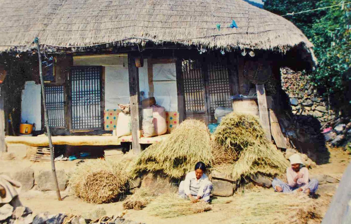 1970년 거제시 거제면 법동마을에서 부인들이 초가집에 이을 이엉을 엮고 있는 모습.