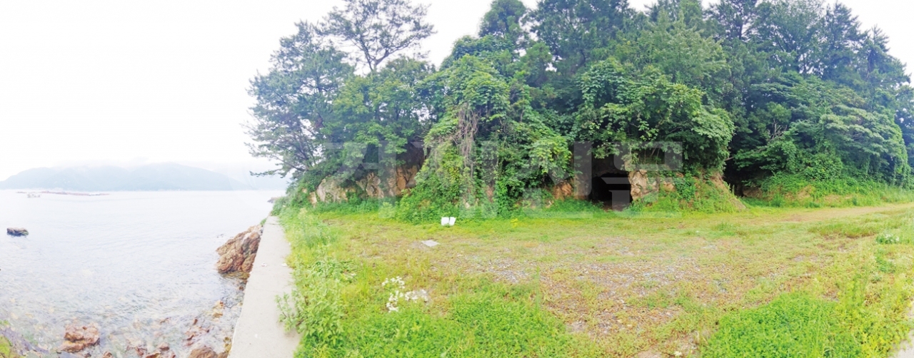 근포마을에 있는 땅굴 3개. 옛날 일제시대 때 일본군이 포진지 용도로 팠던 것으로 전해진다.