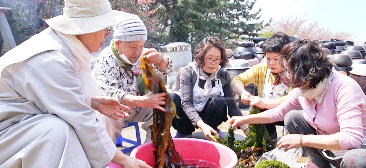 해인정사 자원스님이 보살들과 해초비빔밥을 위해 재료를 다듬고 있다.