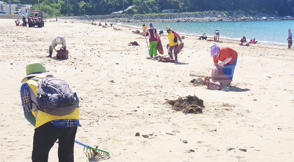 지난 13일 일운면과 와현마을 주민들이 와현해수욕장과 인근 도로 등에서 환경정화 활동을 펼치고 있다.