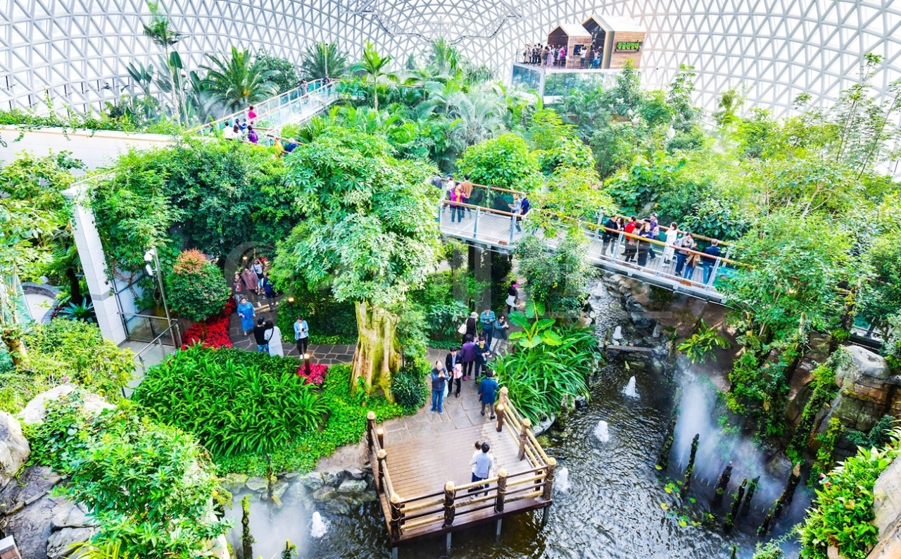 거제식물원이 오는 15일부터 다시 문을 열어 방문객을 맞이한다.<br>