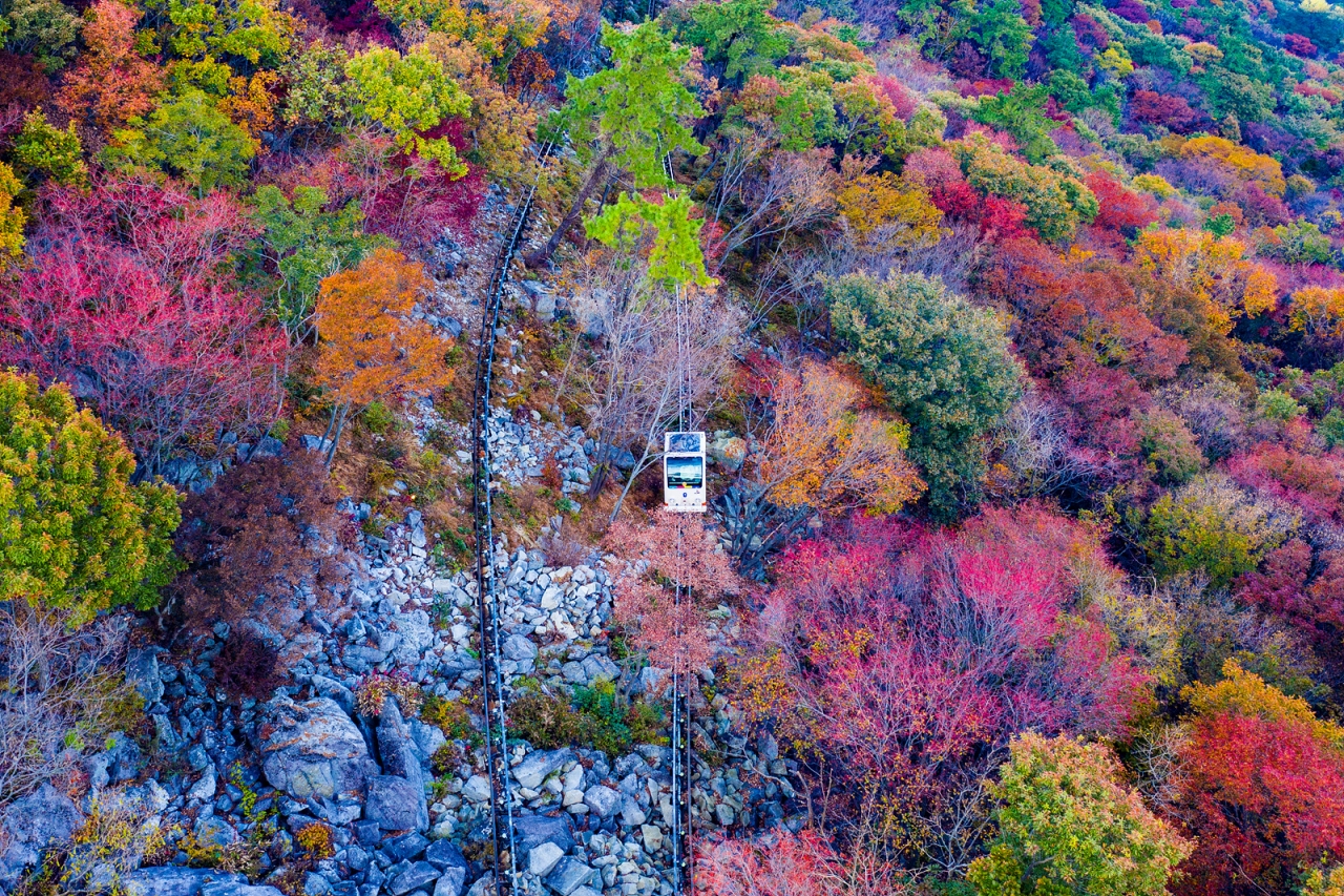 거제관광모노레일 사진전 가을풍경