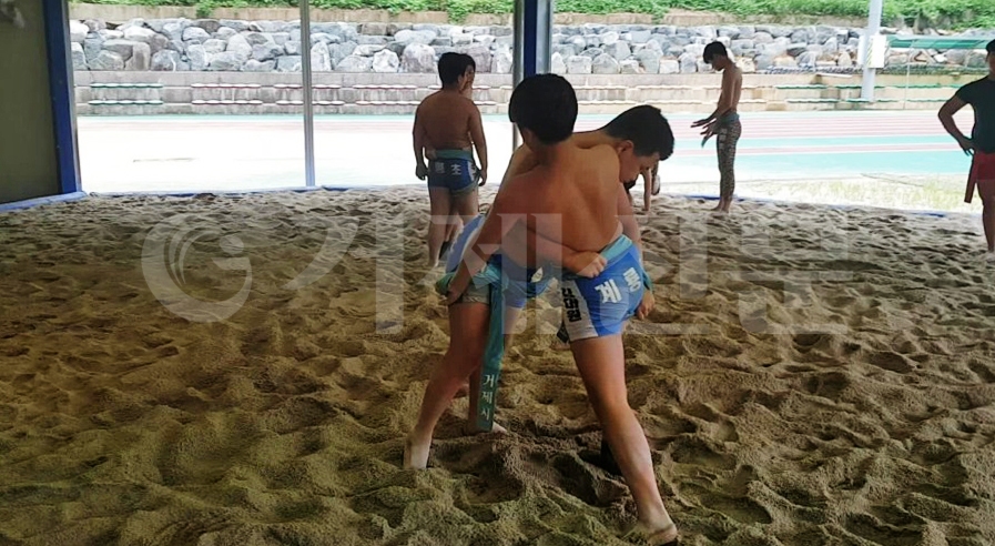 거제 계룡초 씨름부 선수들의 연습 모습.