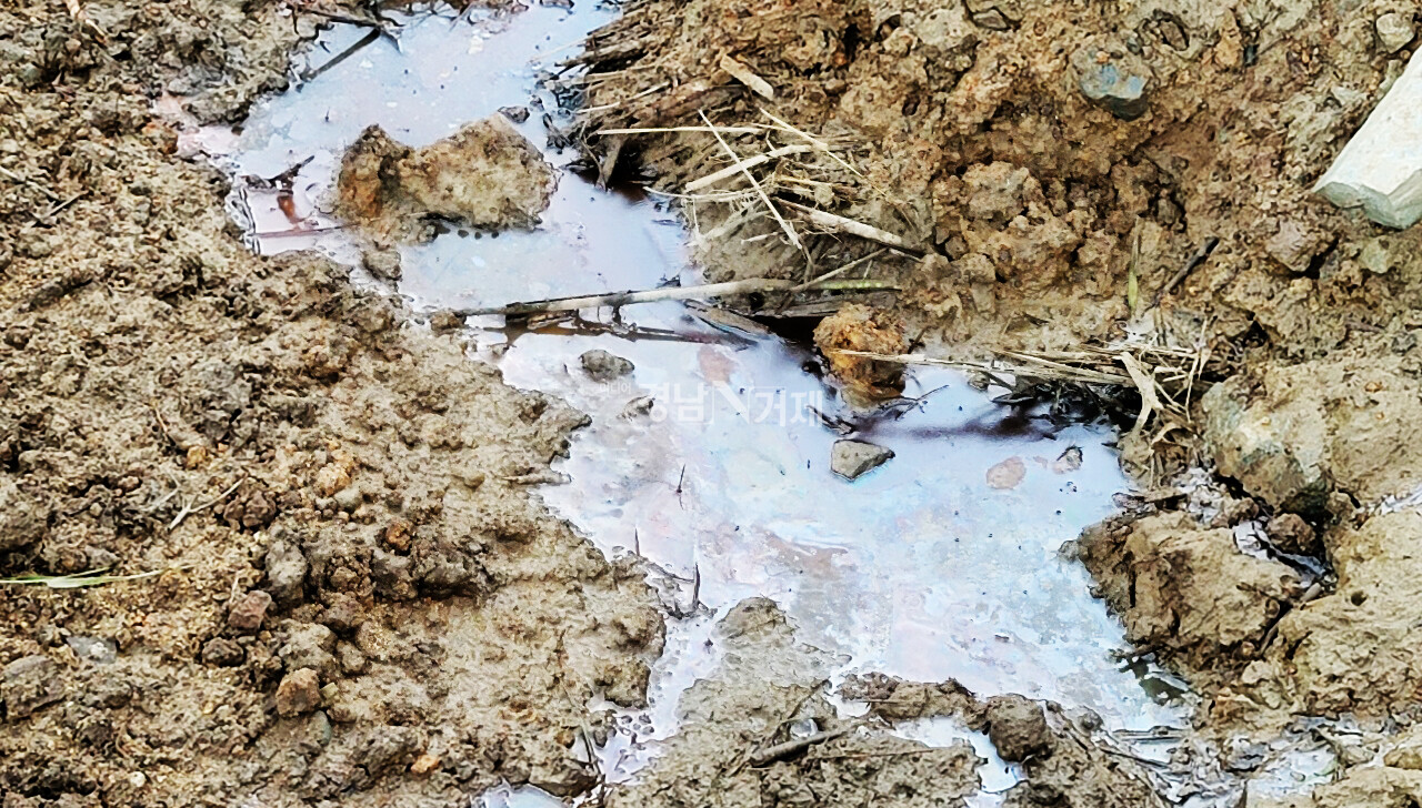 지난 14일 거제면 지역의 농지개량사업에 사용된 A아파트 공사현장의 흙과 기름이 떠있는 물.