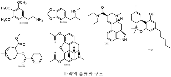마약의 종류와 효과